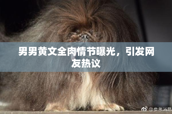 男男黄文全肉情节曝光，引发网友热议