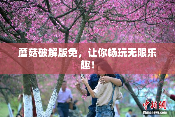 蘑菇破解版免，让你畅玩无限乐趣！