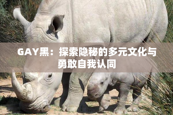 GAY黑：探索隐秘的多元文化与勇敢自我认同