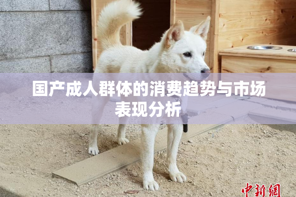 国产成人群体的消费趋势与市场表现分析
