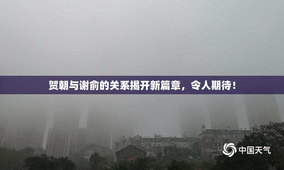 贺朝与谢俞的关系揭开新篇章，令人期待！