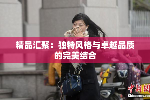 精品汇聚：独特风格与卓越品质的完美结合