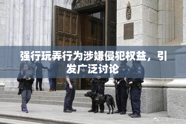 强行玩弄行为涉嫌侵犯权益，引发广泛讨论