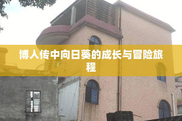 博人传中向日葵的成长与冒险旅程