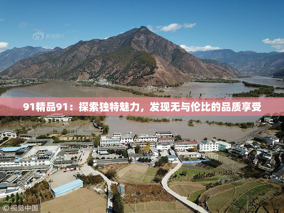 91精品91：探索独特魅力，发现无与伦比的品质享受