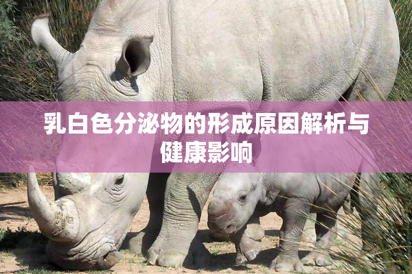 乳白色分泌物的形成原因解析与健康影响