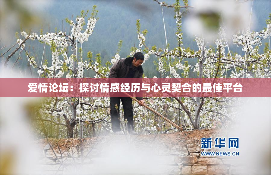 爱情论坛：探讨情感经历与心灵契合的最佳平台