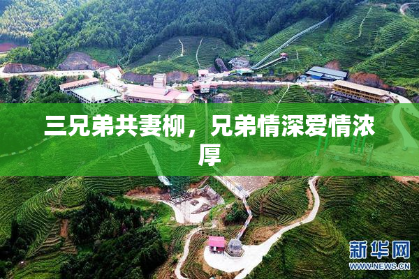 三兄弟共妻柳，兄弟情深爱情浓厚