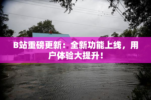B站重磅更新：全新功能上线，用户体验大提升！
