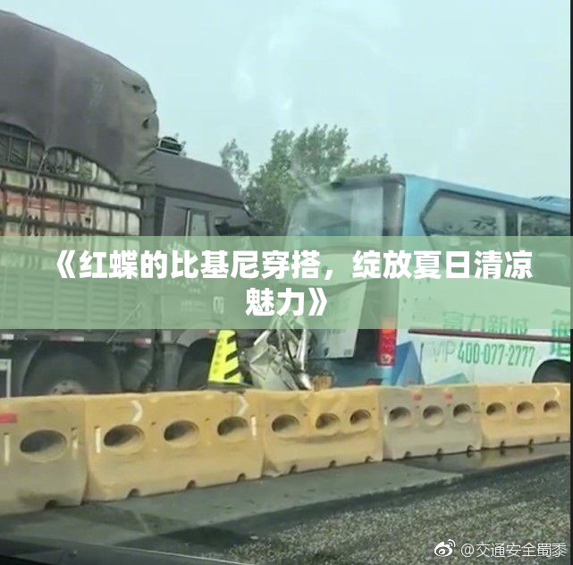 《红蝶的比基尼穿搭，绽放夏日清凉魅力》