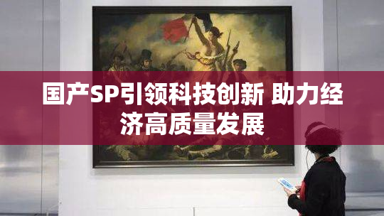 国产SP引领科技创新 助力经济高质量发展