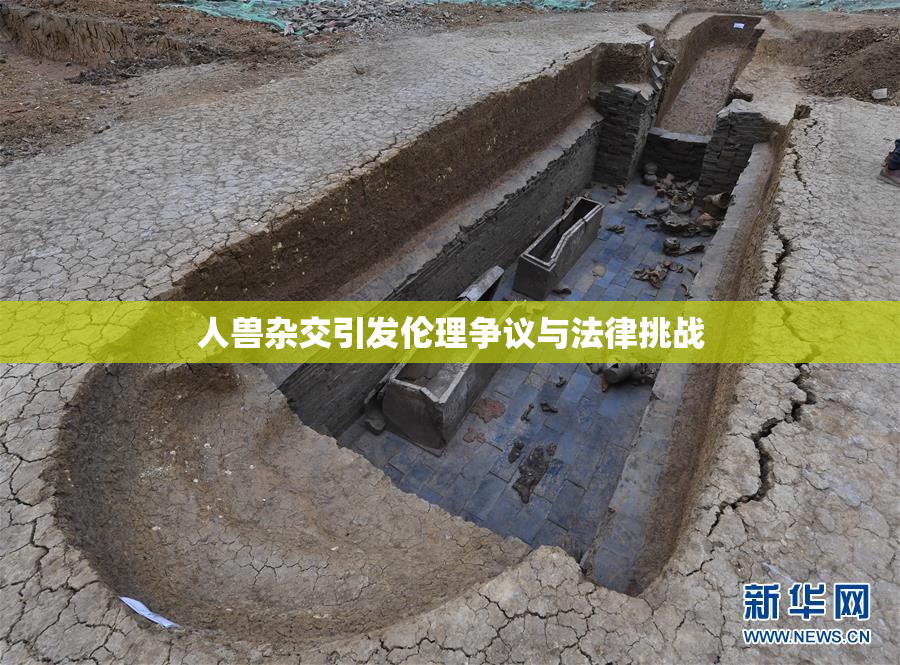 人兽杂交引发伦理争议与法律挑战