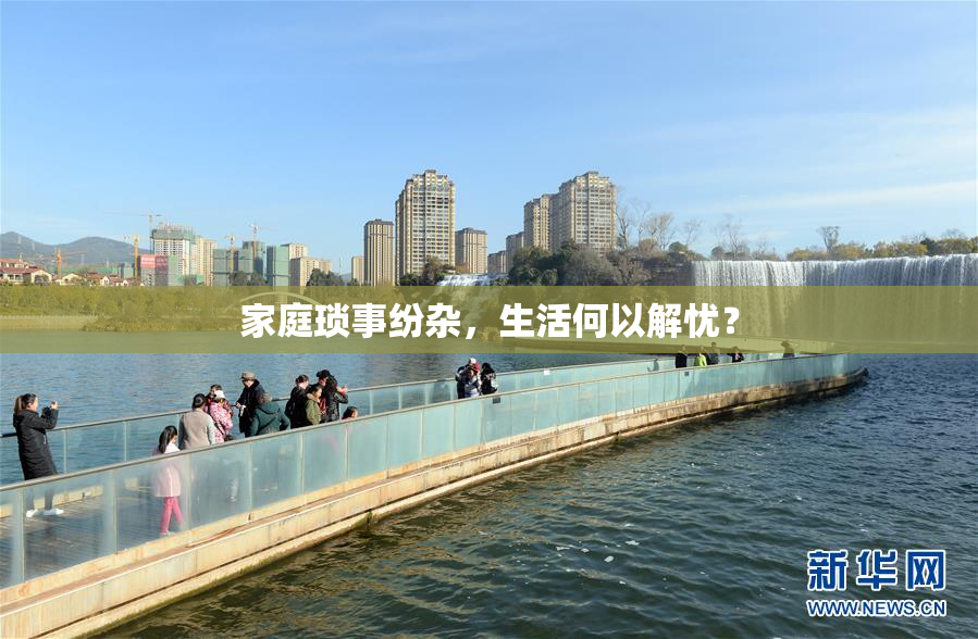 家庭琐事纷杂，生活何以解忧？