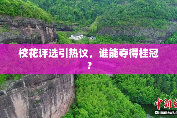 校花评选引热议，谁能夺得桂冠？