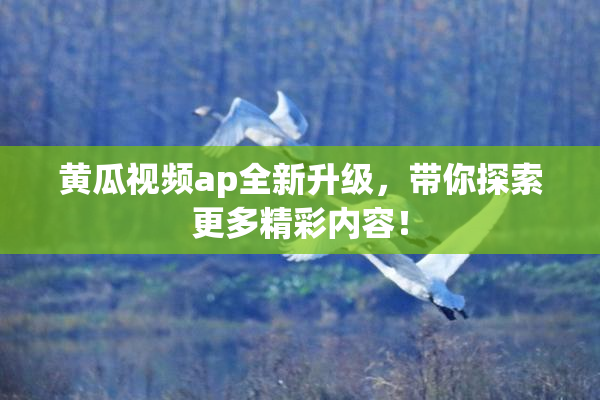 黄瓜视频ap全新升级，带你探索更多精彩内容！
