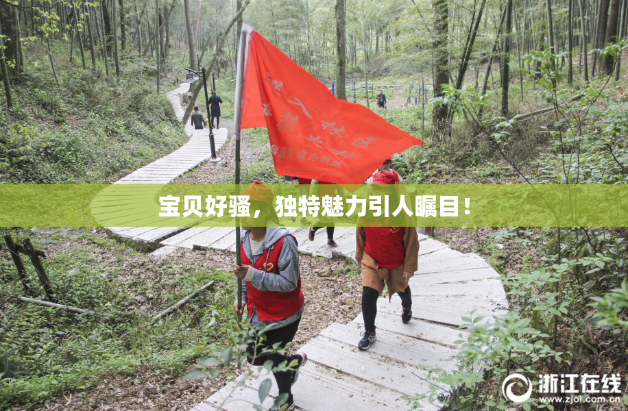 宝贝好骚，独特魅力引人瞩目！