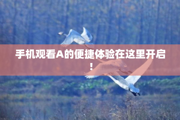 手机观看A的便捷体验在这里开启！