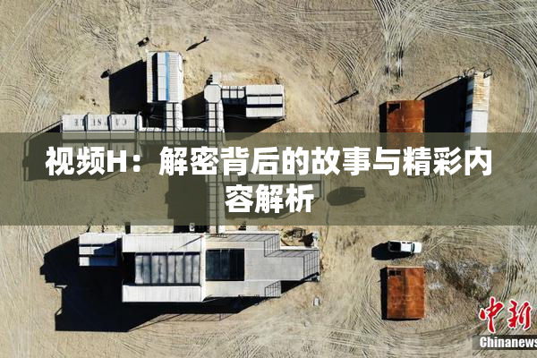 视频H：解密背后的故事与精彩内容解析