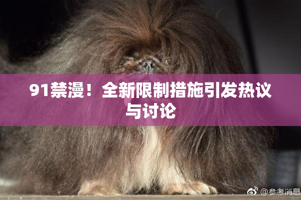 91禁漫！全新限制措施引发热议与讨论