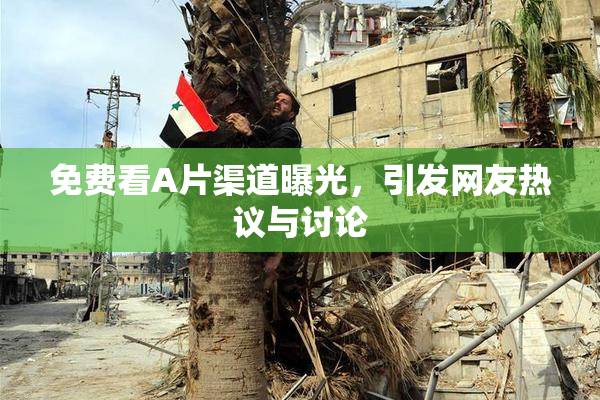 免费看A片渠道曝光，引发网友热议与讨论
