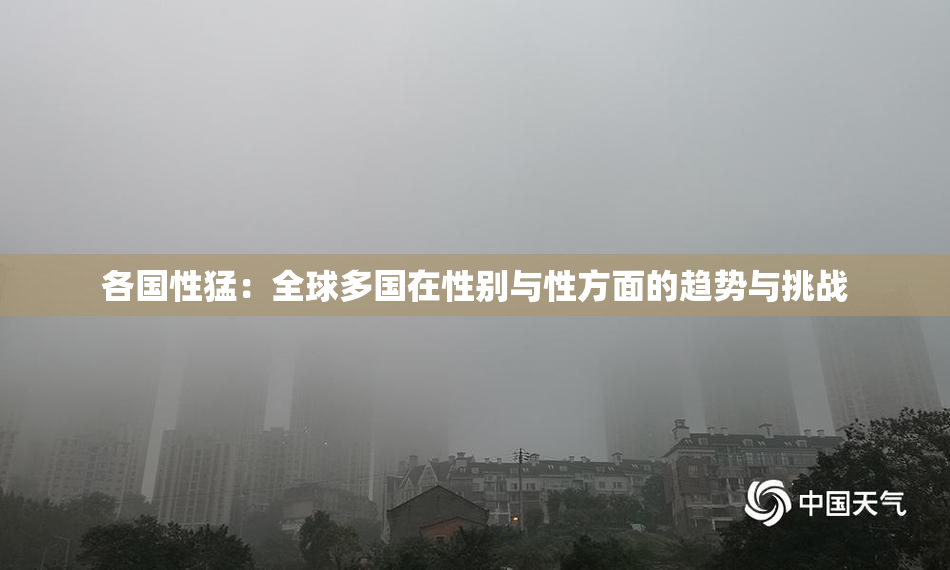 各国性猛：全球多国在性别与性方面的趋势与挑战