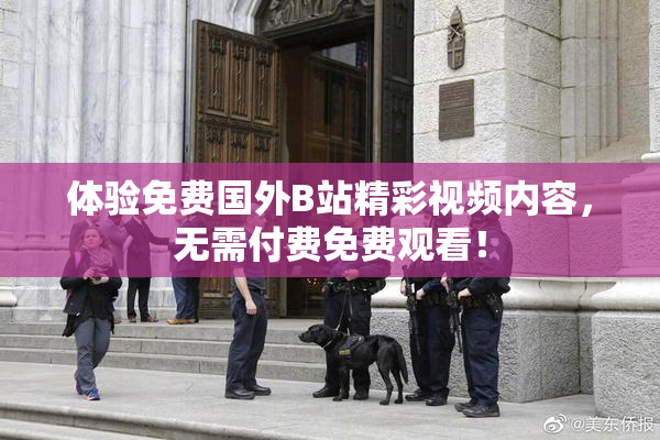 体验免费国外B站精彩视频内容，无需付费免费观看！