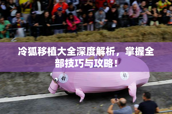 冷狐移植大全深度解析，掌握全部技巧与攻略！