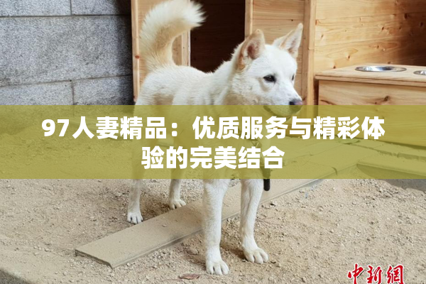 97人妻精品：优质服务与精彩体验的完美结合