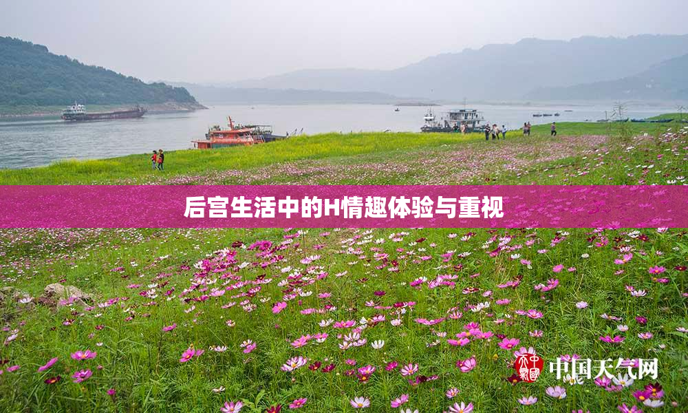 后宫生活中的H情趣体验与重视