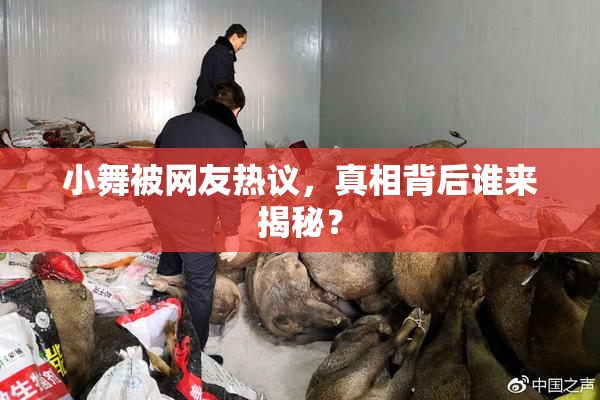 小舞被网友热议，真相背后谁来揭秘？
