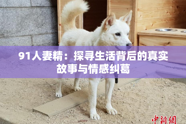 91人妻精：探寻生活背后的真实故事与情感纠葛