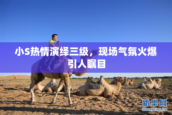 小S热情演绎三级，现场气氛火爆引人瞩目
