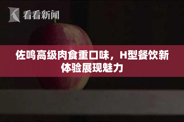 佐鸣高级肉食重口味，H型餐饮新体验展现魅力