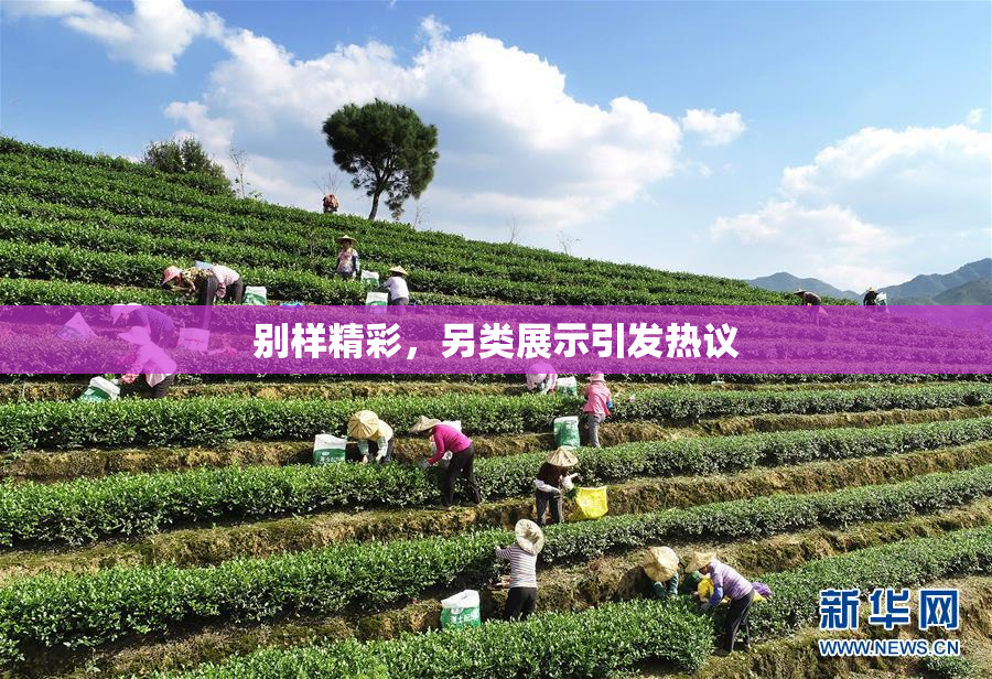 别样精彩，另类展示引发热议