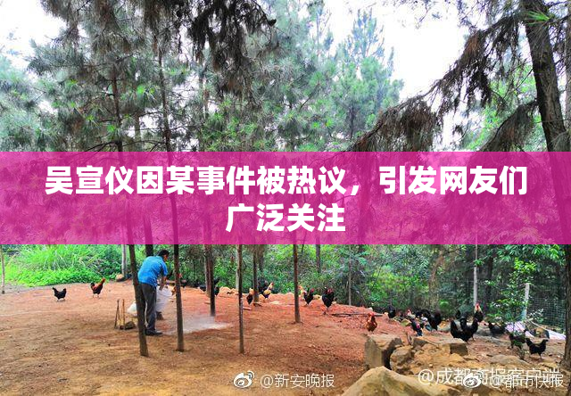 吴宣仪因某事件被热议，引发网友们广泛关注