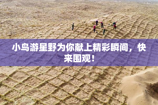小鸟游星野为你献上精彩瞬间，快来围观！