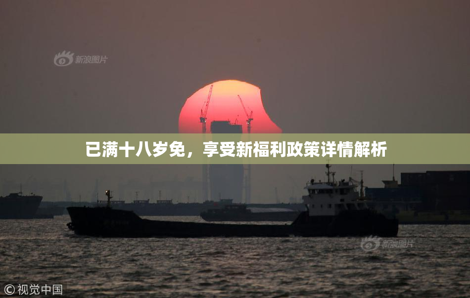 已满十八岁免，享受新福利政策详情解析