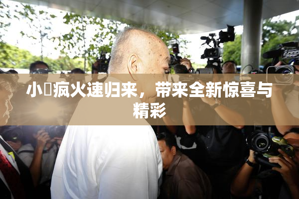 小泬疯火速归来，带来全新惊喜与精彩
