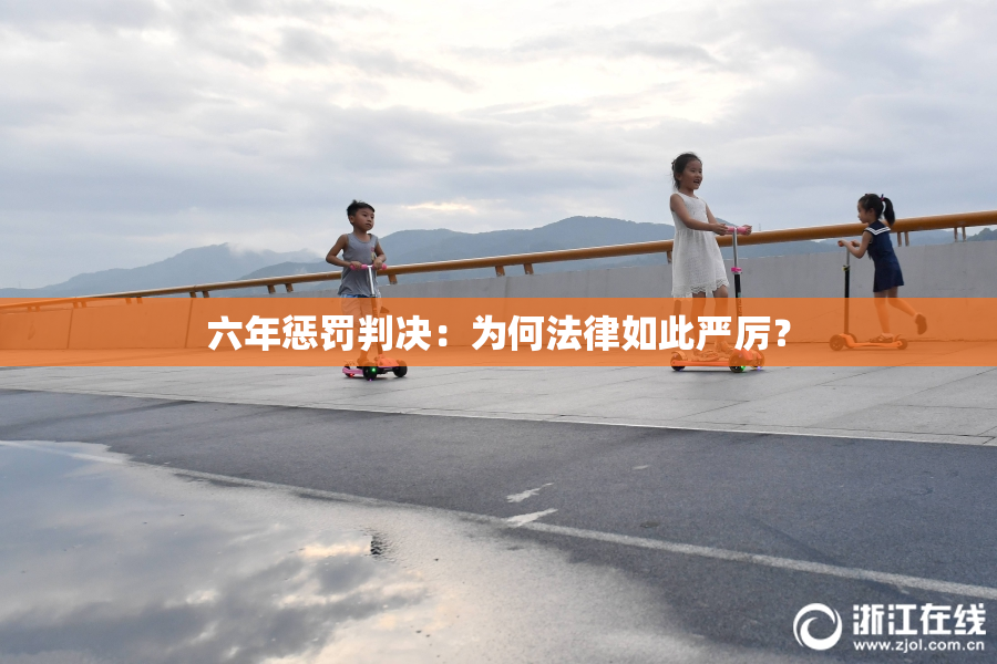 六年惩罚判决：为何法律如此严厉？