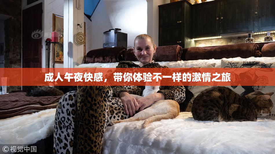 成人午夜快感，带你体验不一样的激情之旅