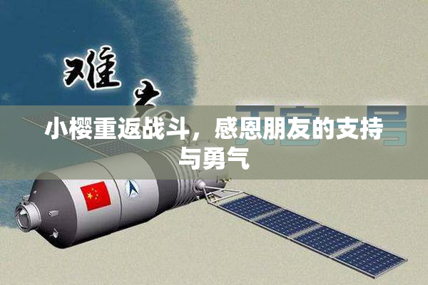 小樱重返战斗，感恩朋友的支持与勇气