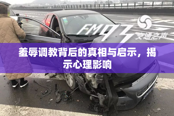 羞辱调教背后的真相与启示，揭示心理影响