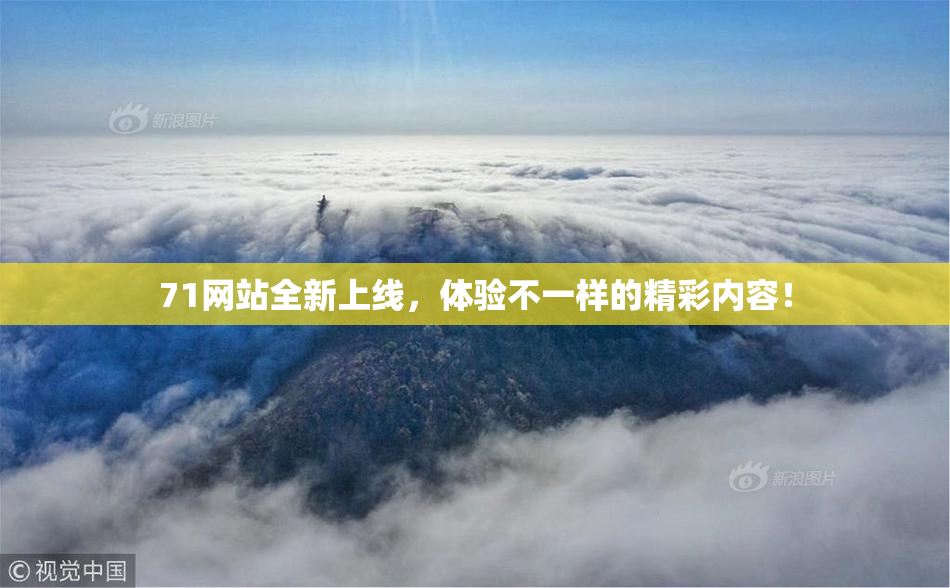 71网站全新上线，体验不一样的精彩内容！
