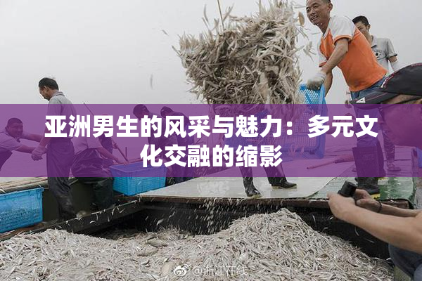 亚洲男生的风采与魅力：多元文化交融的缩影