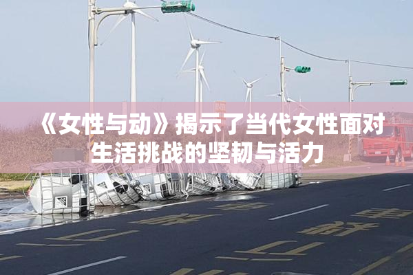 《女性与动》揭示了当代女性面对生活挑战的坚韧与活力