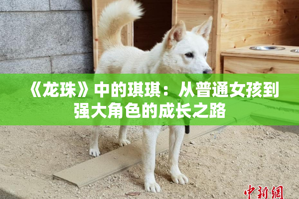 《龙珠》中的琪琪：从普通女孩到强大角色的成长之路