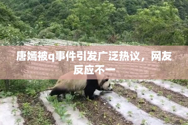 唐嫣被q事件引发广泛热议，网友反应不一