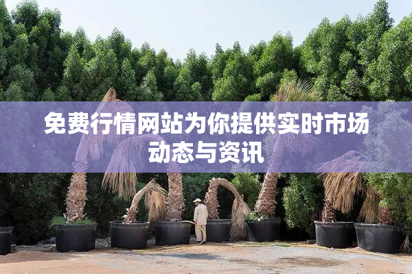 免费行情网站为你提供实时市场动态与资讯
