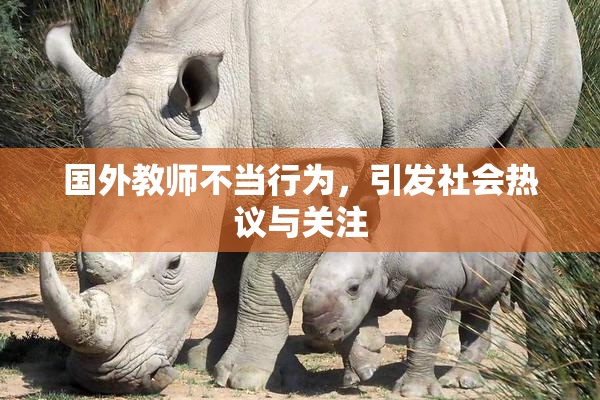 国外教师不当行为，引发社会热议与关注