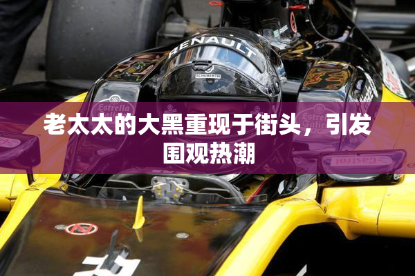 老太太的大黑重现于街头，引发围观热潮